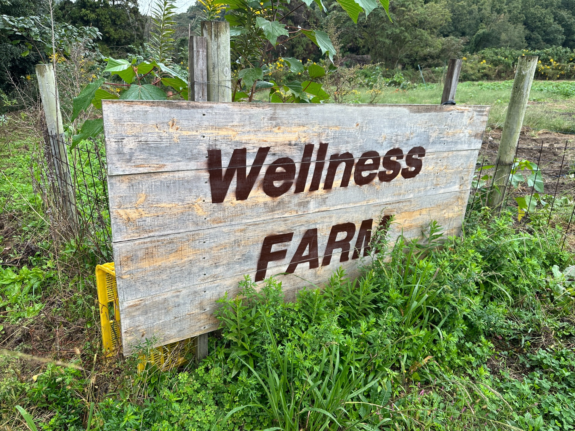 パソナの淡路島での取り組みを視察しました